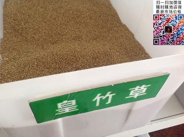 皇竹草種子 皇竹草種子