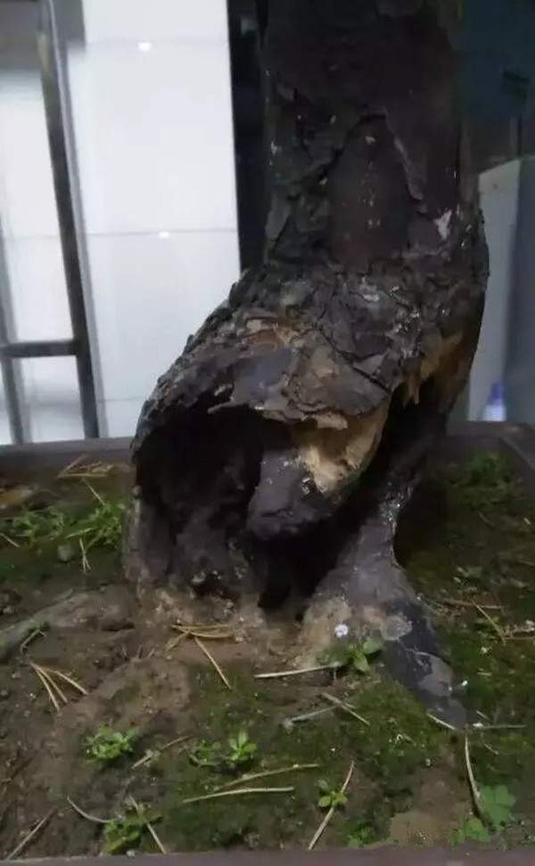 天?？惺车臉錁? width=