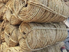 草繩繞樹干怎么計算用多少草繩？