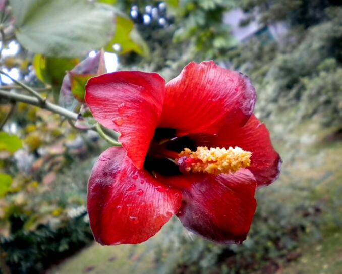 1650461468549521.jpg 1650461468549521.jpg