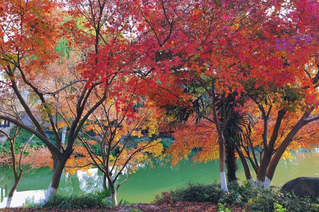 1675196107414638.jpg 微信圖片_20230112212513.jpg