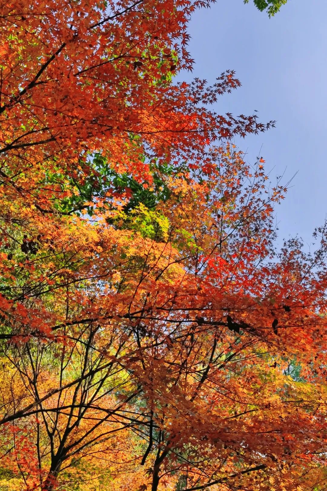 1675196117366341.jpg 微信圖片_20230112212508.jpg