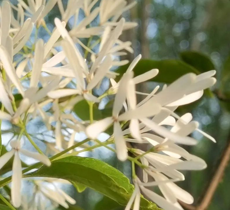 1676897105178725.jpg 微信圖片_20230220203319.jpg