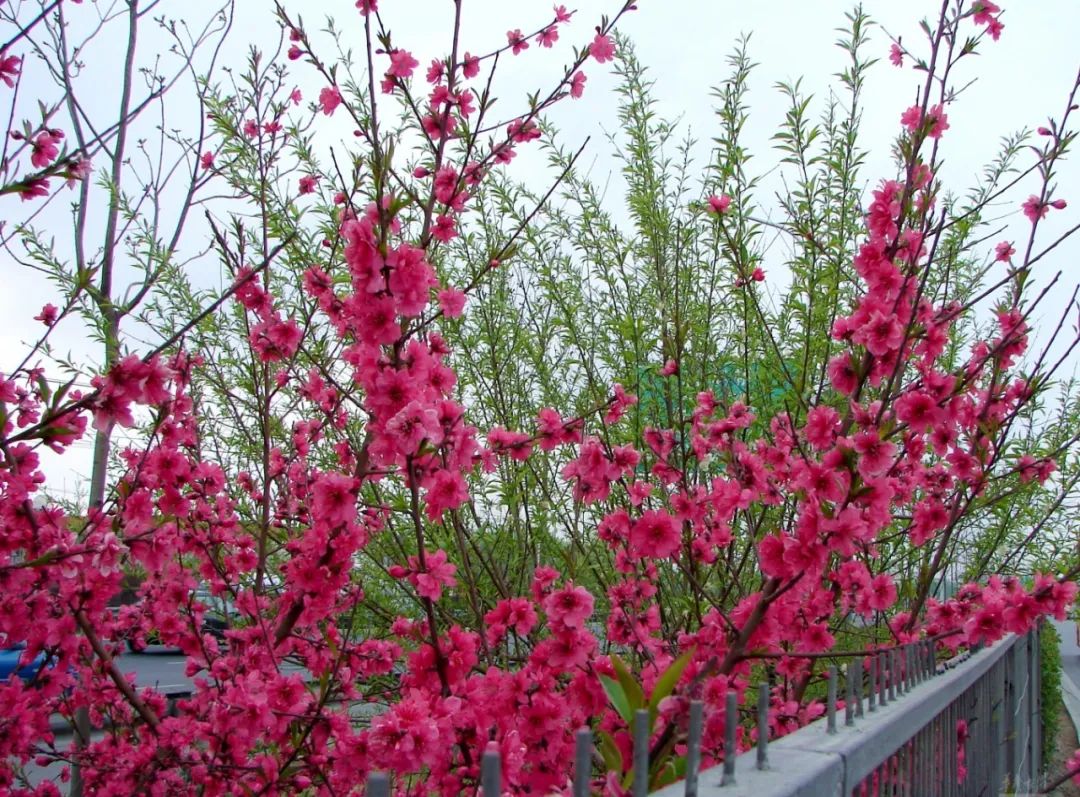 1676897340520979.jpg 微信圖片_20230220204749.jpg