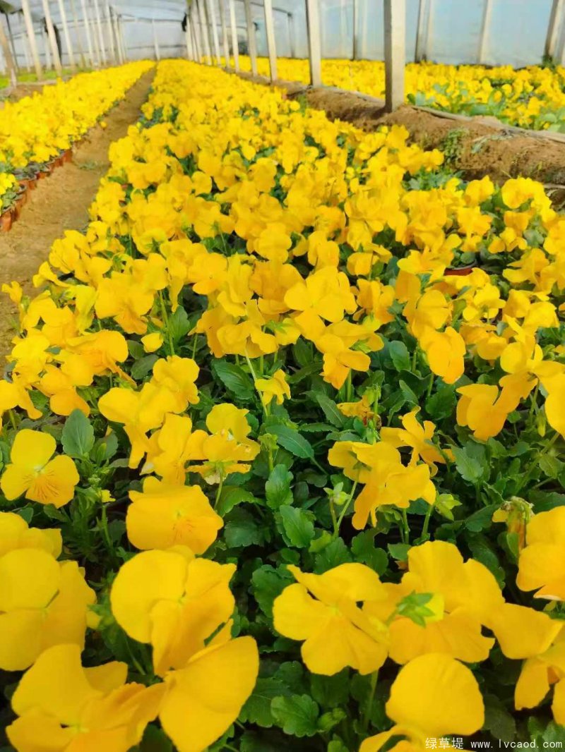 1735000866272636.jpg 微信圖片_20241224083910.jpg