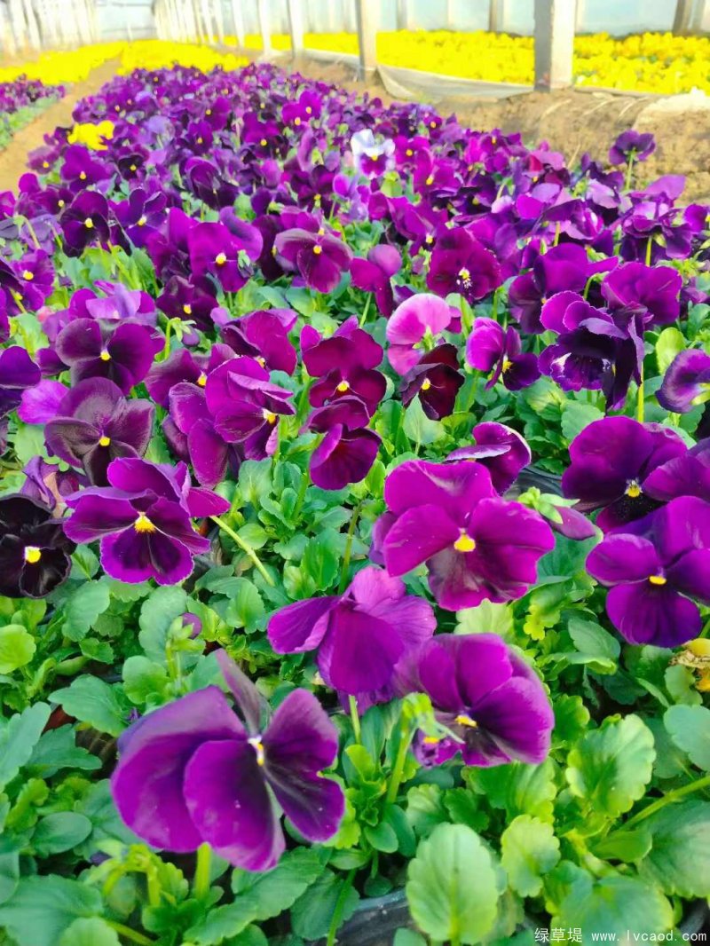 1735000883887802.jpg 微信圖片_20241224083948.jpg