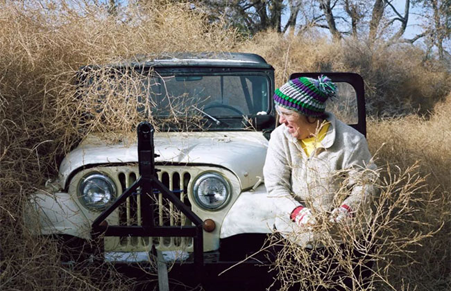 風(fēng)滾草 風(fēng)滾草